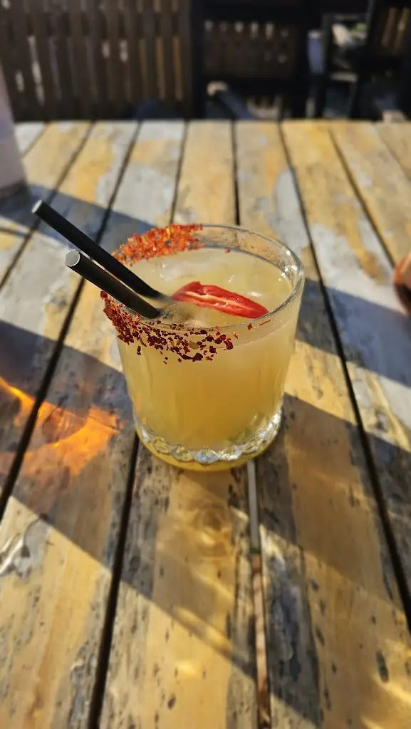 Steve Thomas_The Lion_Glastonbury_review