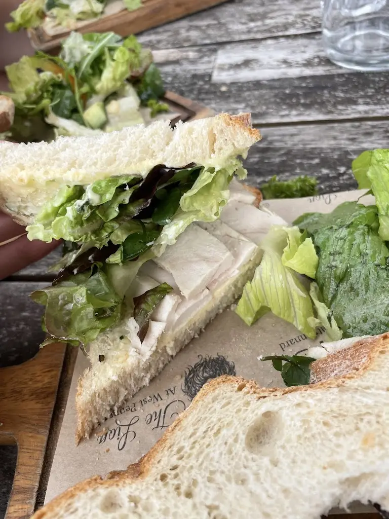 Lily Harnden_The Lion_Glastonbury_review