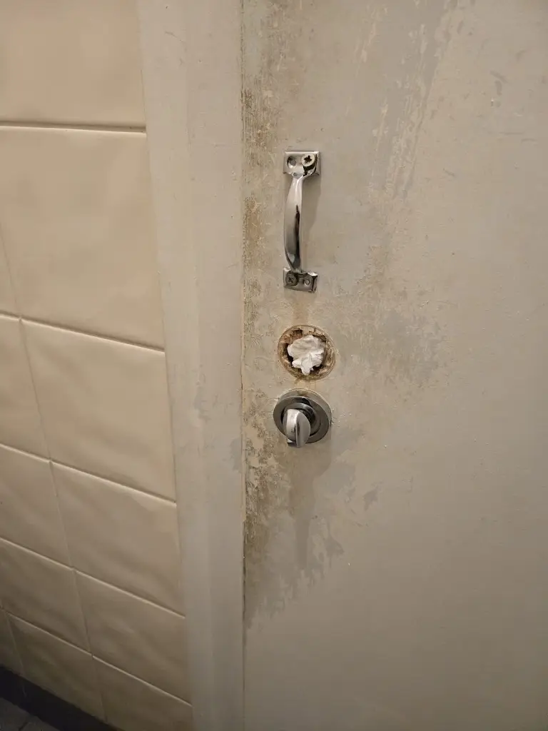 Jo Johnson_Primavera_Gateshead_review