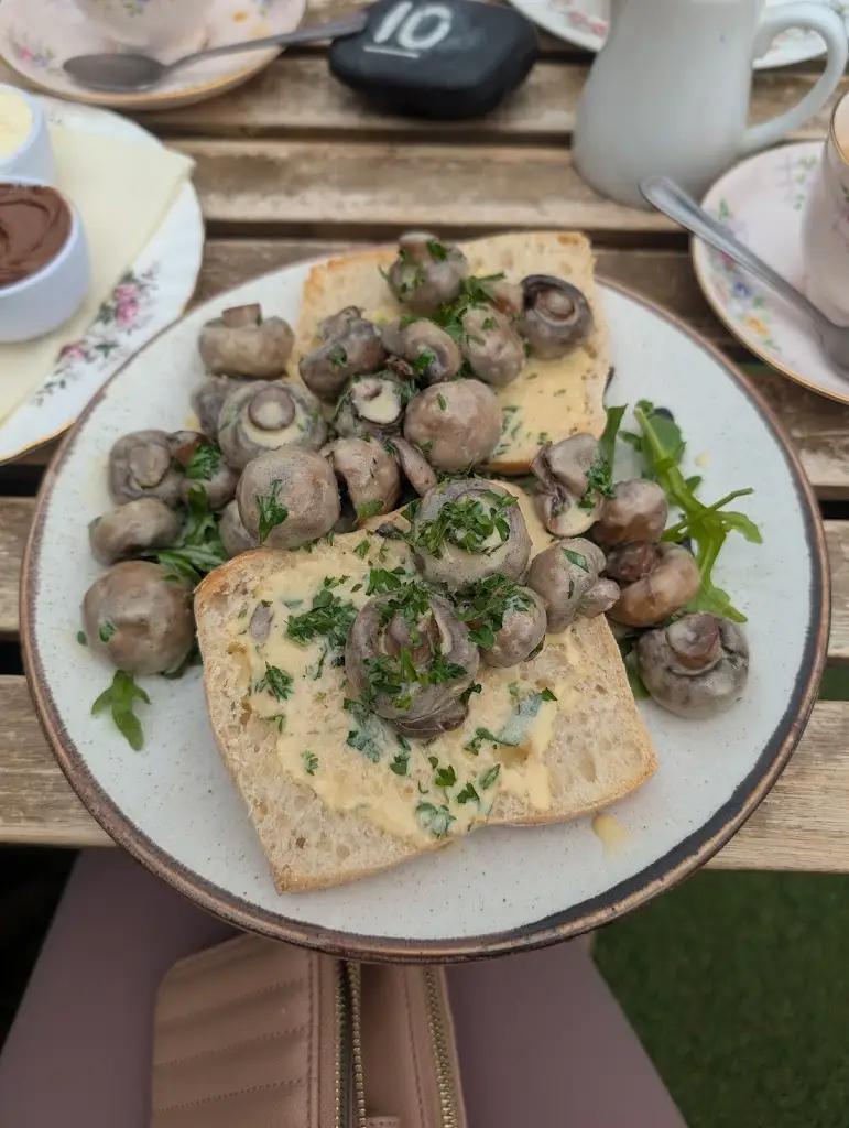 Jane Price_Twisted Currant_Germoe_review