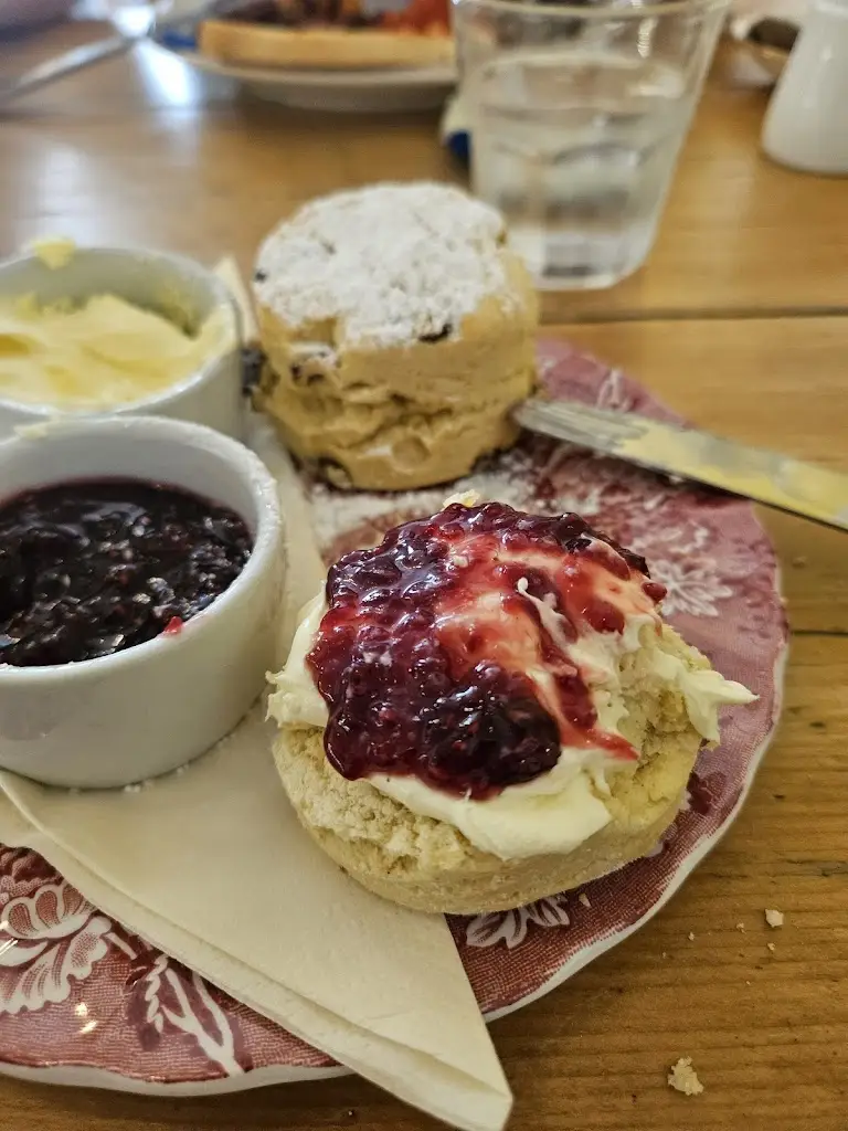 Charlott Kreczman_Twisted Currant_Germoe_review