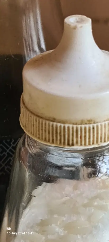 Menu_Dynasty Restaurant_Germoe_image_5