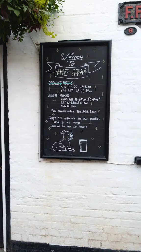 Ralph Fleming_The Star Inn_Godalming_review