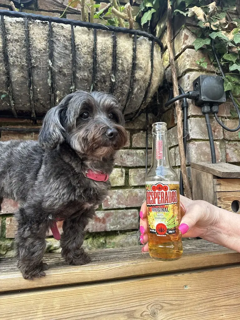 Scarlet_The Star Inn_Godalming_review