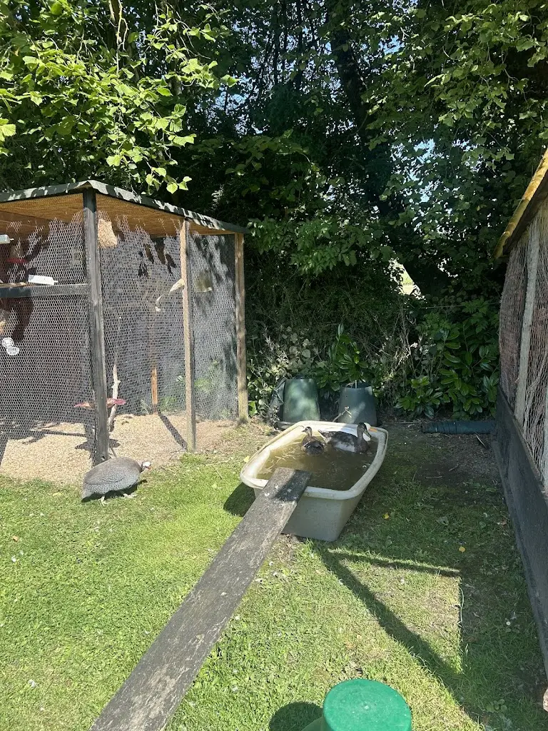 Jodie Mack_The Peacock Inn_Goudhurst_review