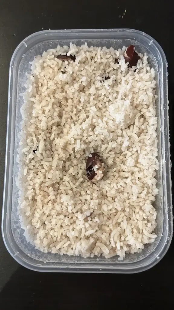 Ada Florea_Pasta Rasta_Gillingham_review