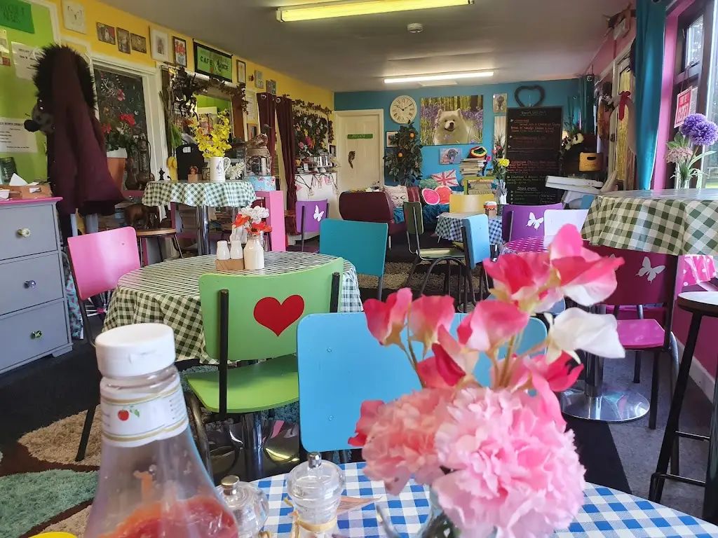 Wendy's Community Cafe & Juice Bar restaurant in Great Bedwyn