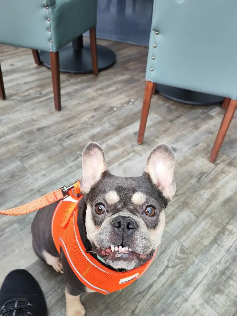 Matt Welch_The Fig Bar & Grill_Gorleston-on-Sea_review