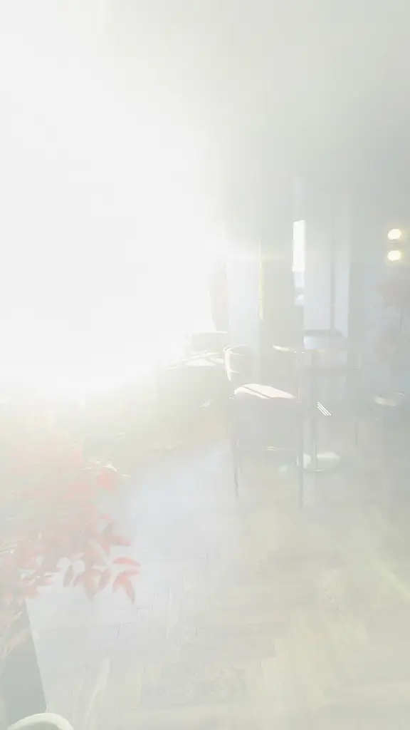 Zack Islam_Lizz Restaurant_Gosport_review