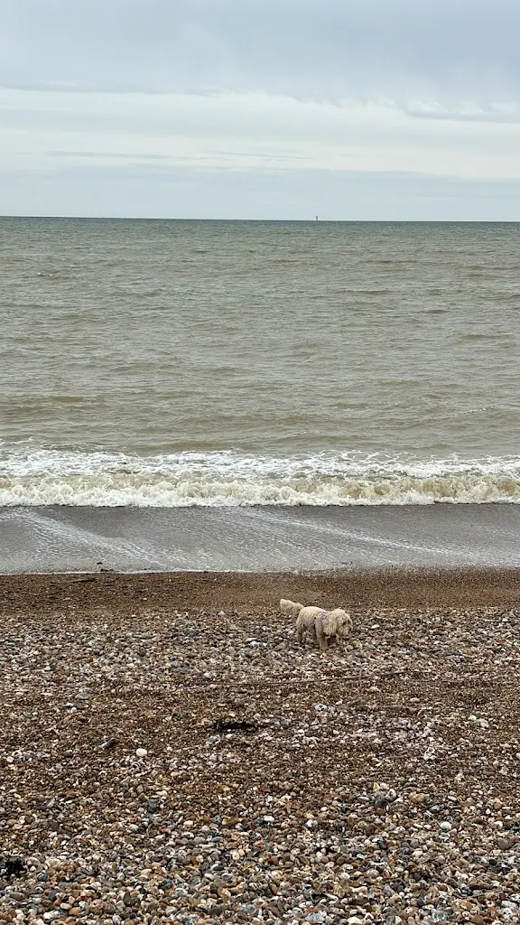 Radu Nebunu _The Henty Arms_Goring-by-Sea_review