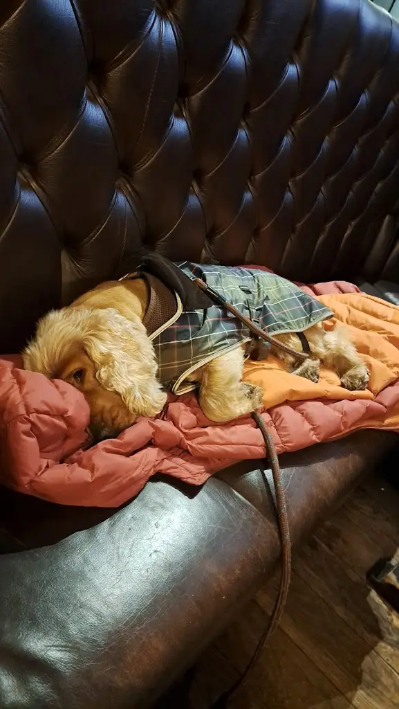 Menu_The County_Gosforth_image_6