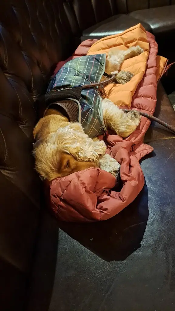 Menu_The County_Gosforth_image_7