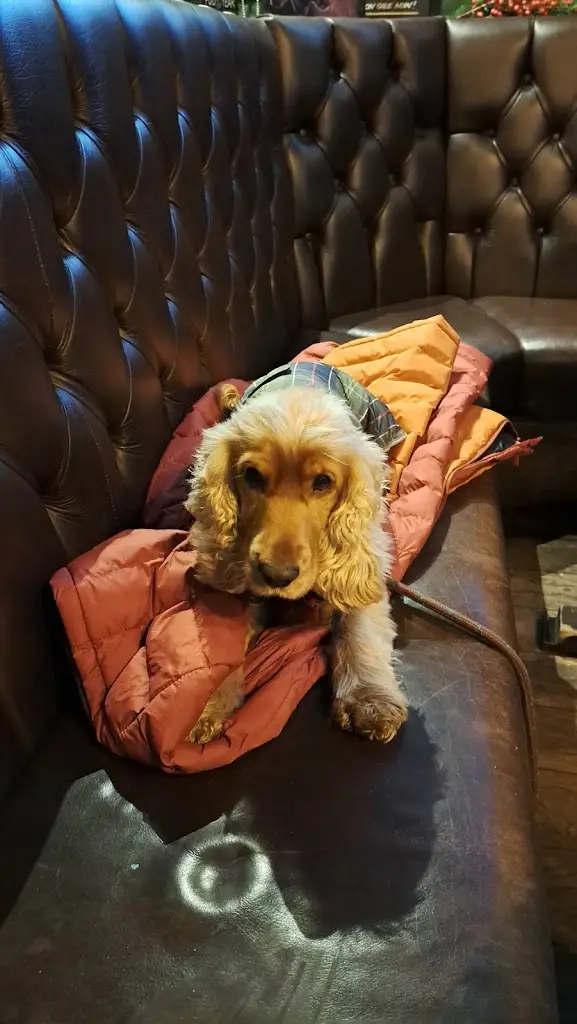 Menu_The County_Gosforth_image_8