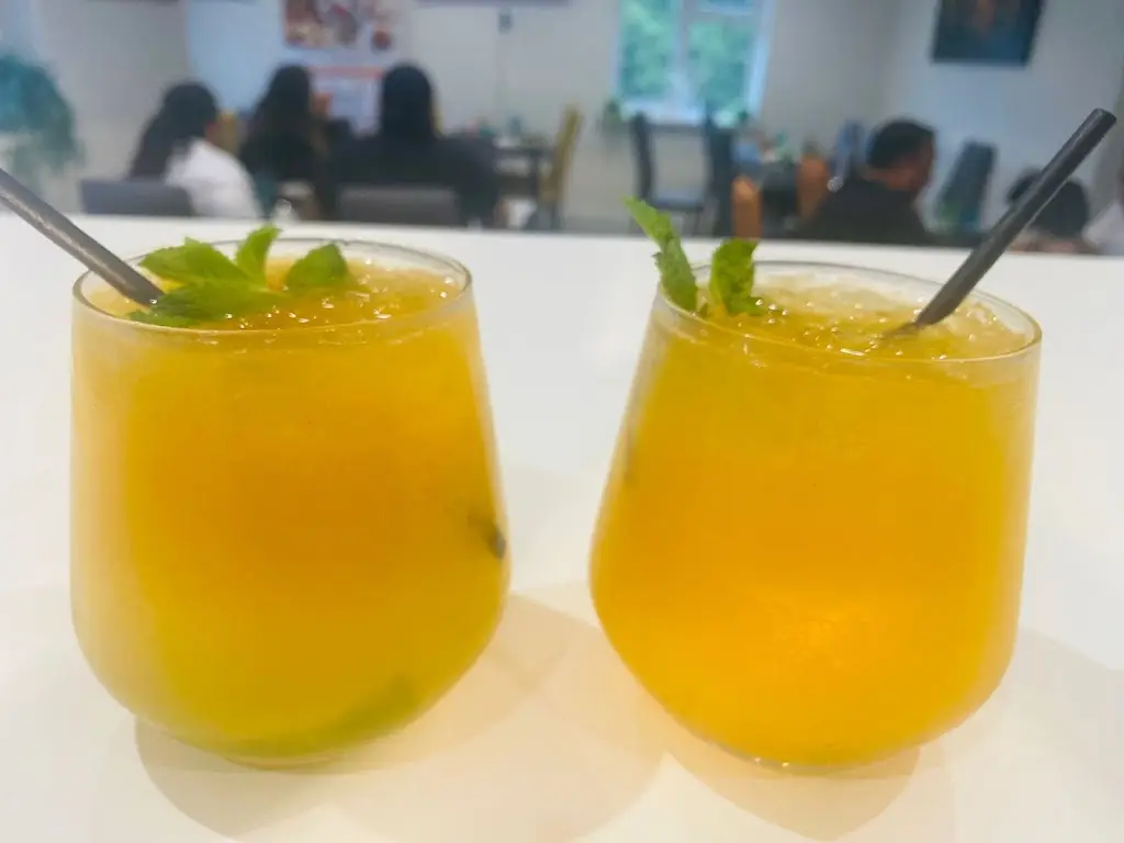 Menu_Satya Restaurant_Great Glen_image_2