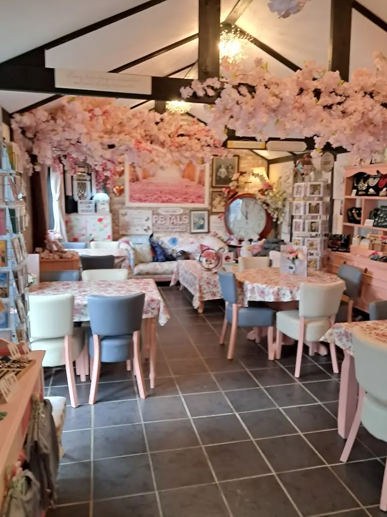 Tamara Summer-Cullen_Petals Tearoom_Great Yeldham_review