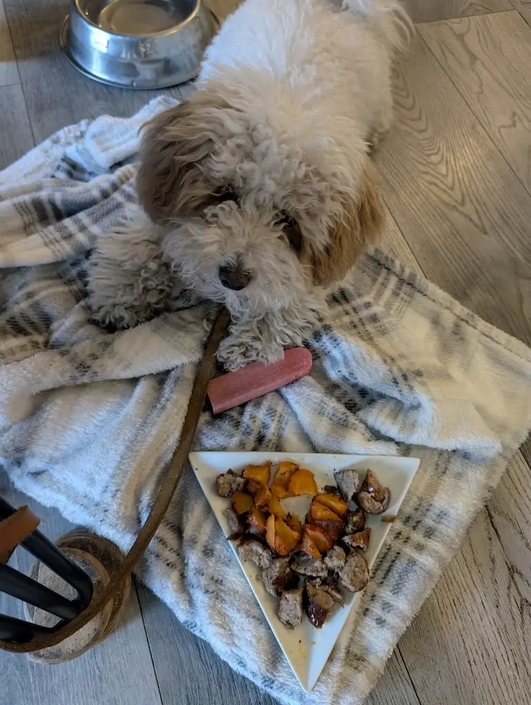 Amy Ramshead_The Goat_Great Amwell_review