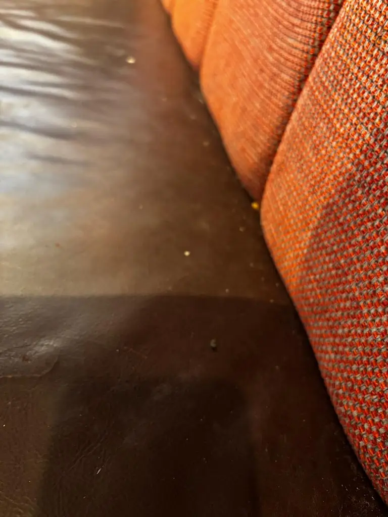 Ross Diprose_Toby Carvery Gravesend_Gravesend_review