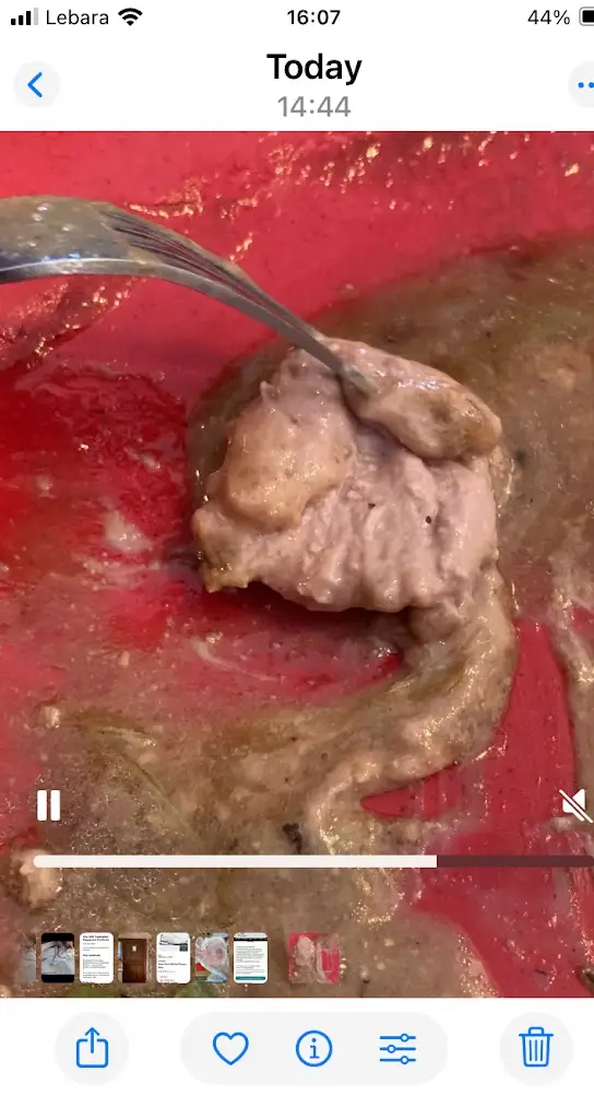 Sara Baker_The White Lodge, Pub & Restaurant_Attleborough_review