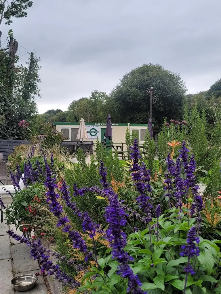 Lorraine Norman_Puffing Billy Cafe_Great Torrington_review