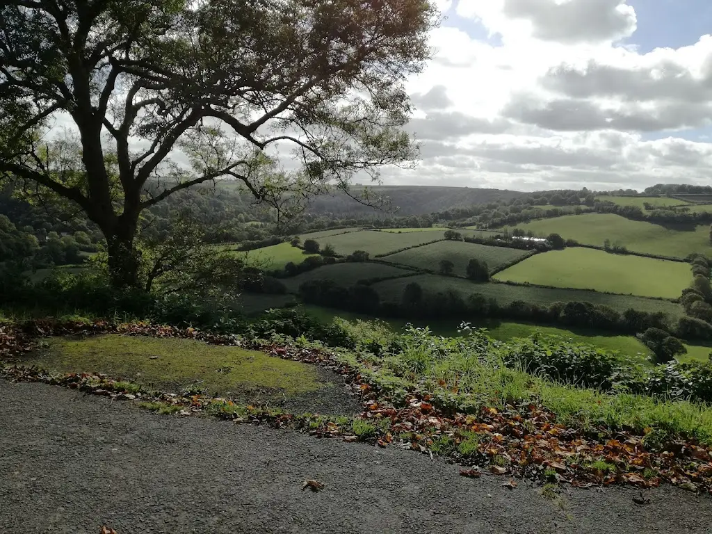 The Green Lantern Cafe_Great Torrington_slider_image_2