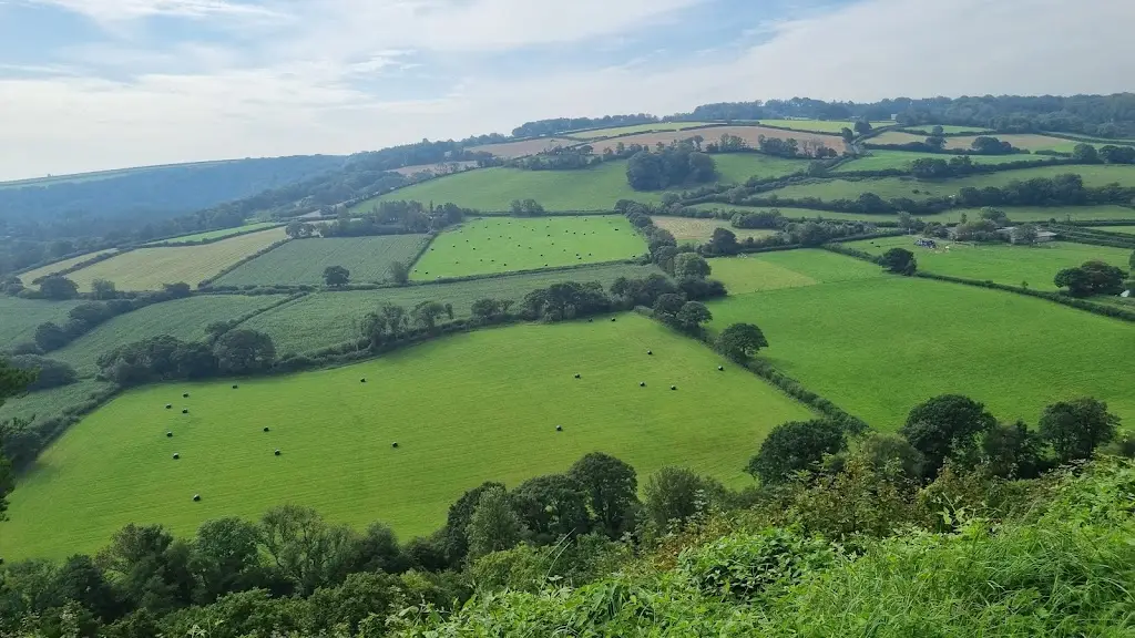 monica loosley_Fork n Feast Cafe_Great Torrington_review