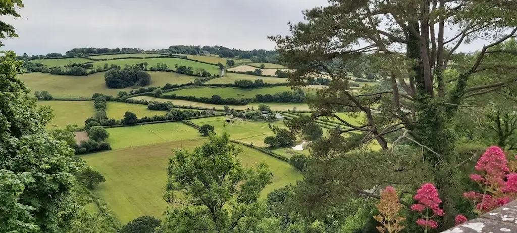 Fork n Feast Cafe_Great Torrington_slider_image_3
