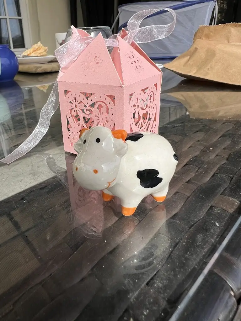 Cat Clough_The Old Farmhouse Kitchen and Tearoom_Great Torrington_review