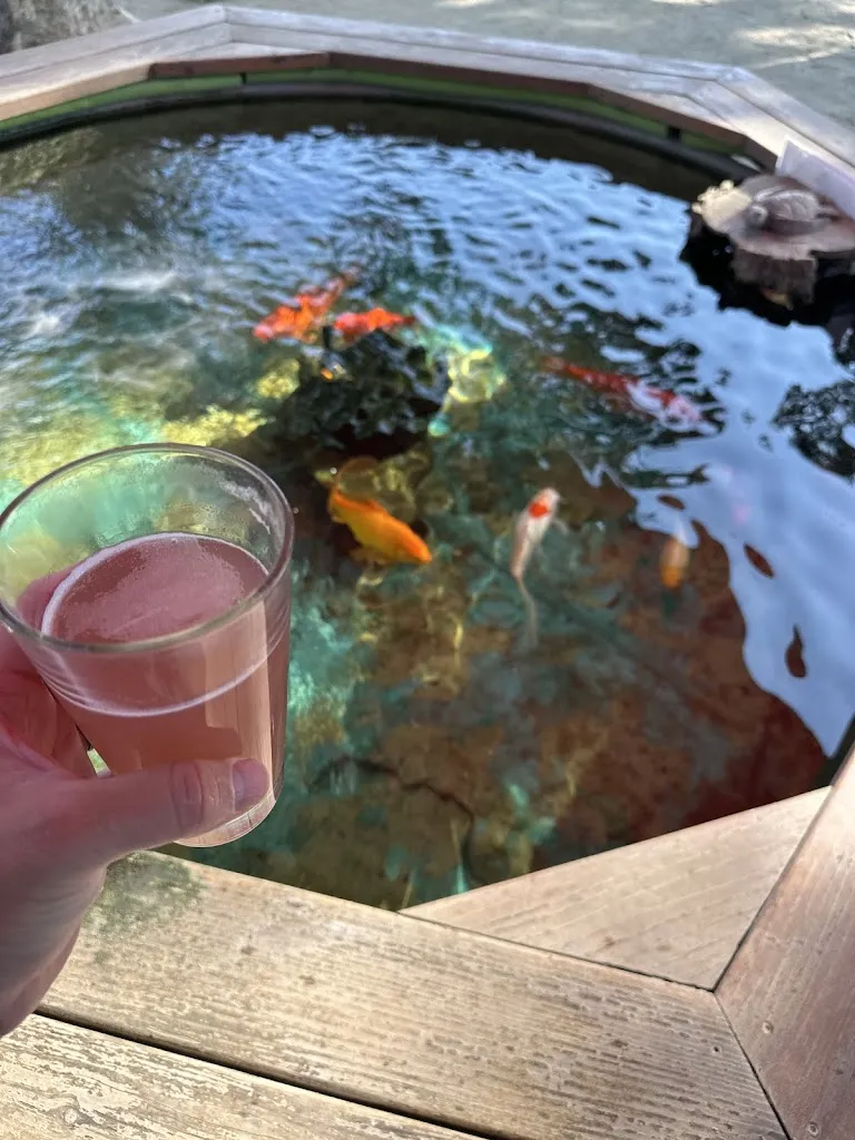 Benjamin Young_Mode Brewing + Kitchen_Orangevale, CA_review