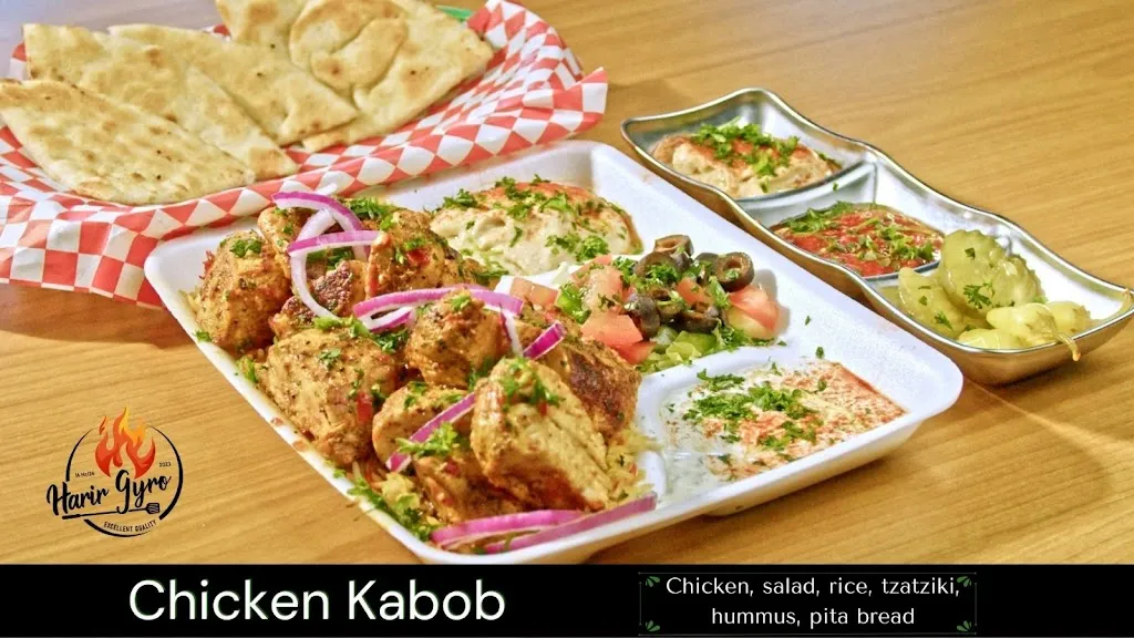 Harir Gyro and Burger حرير جيرو و برگر_Orangevale, CA_slider_image_3