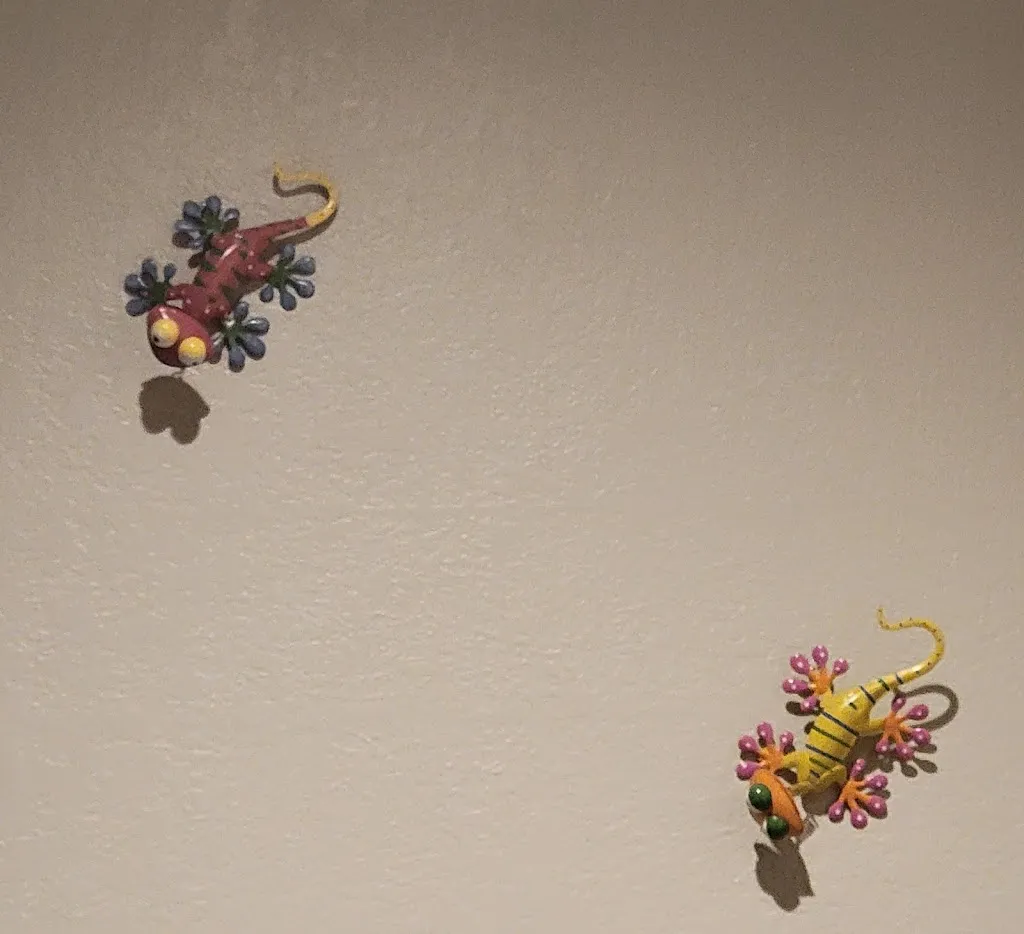 Donna Nelson_Buenos Tiempos_Broomfield, CO_review