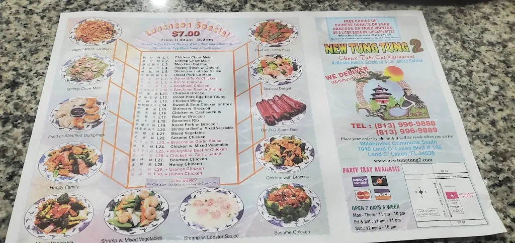 Menu_New Tung Tung Two Restaurant_Land O' Lakes, FL_image_old_1