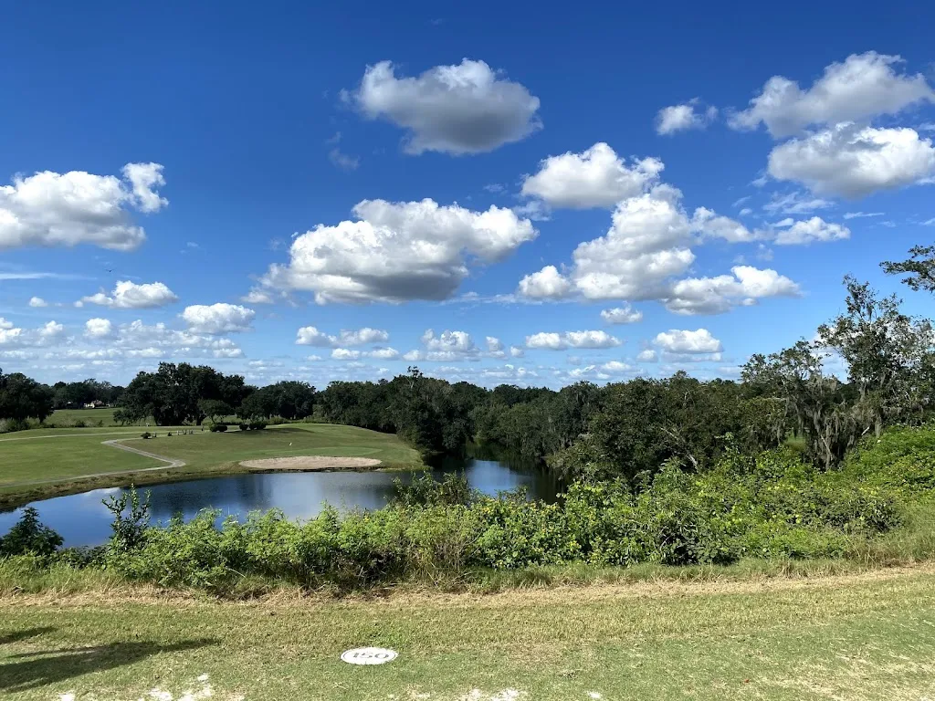 Barrett Henry_Grill on the Hill_Dover, FL_review