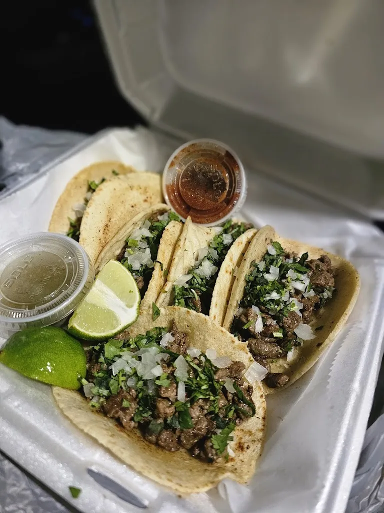 Shirley_Tacos El Gordo_Dover, FL_review
