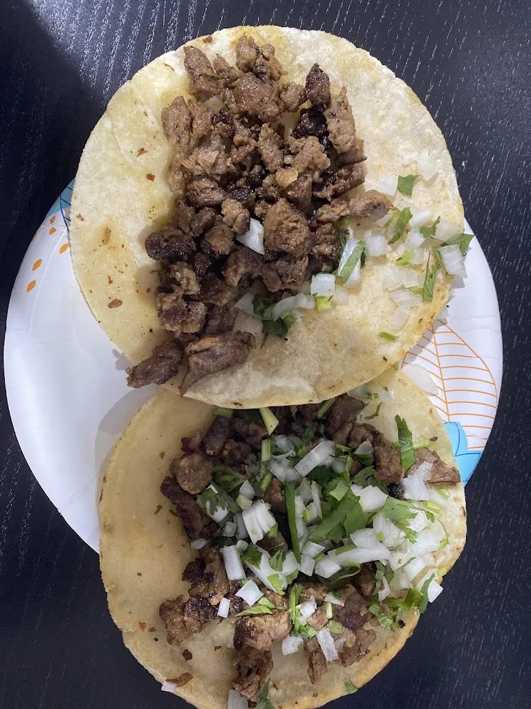 Levo41_Taqueria El Solesito_Dover, FL_review