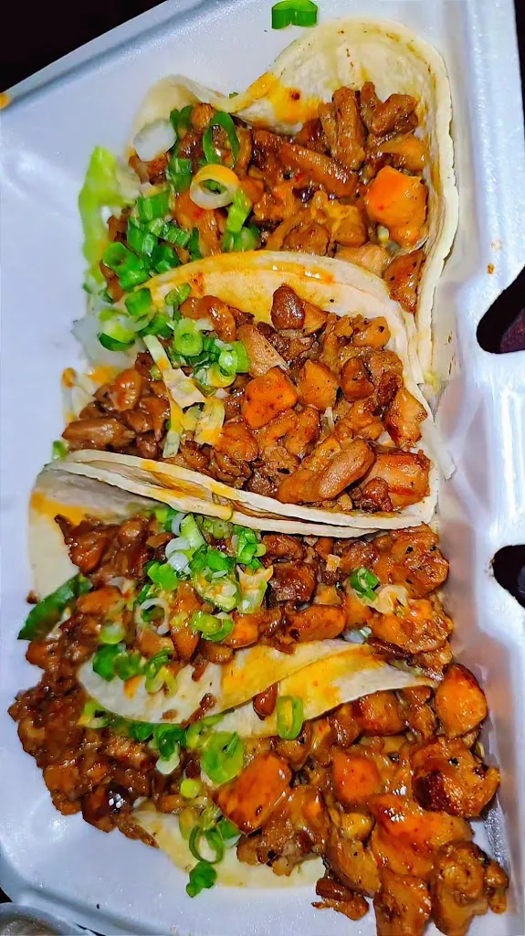 KOGI GRILL (PALM HARBOR)_Palm Harbor, FL_slider_image_2