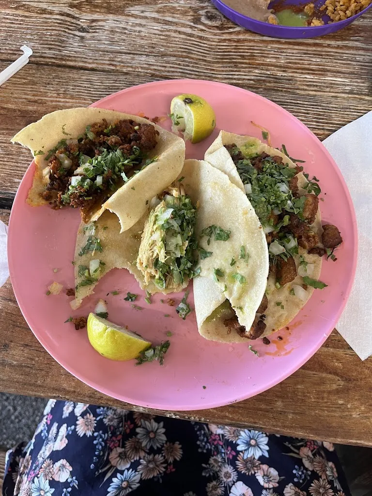 Aidan Clemente_TAQUERIA EL TRIUNFO_Tampa, FL_review