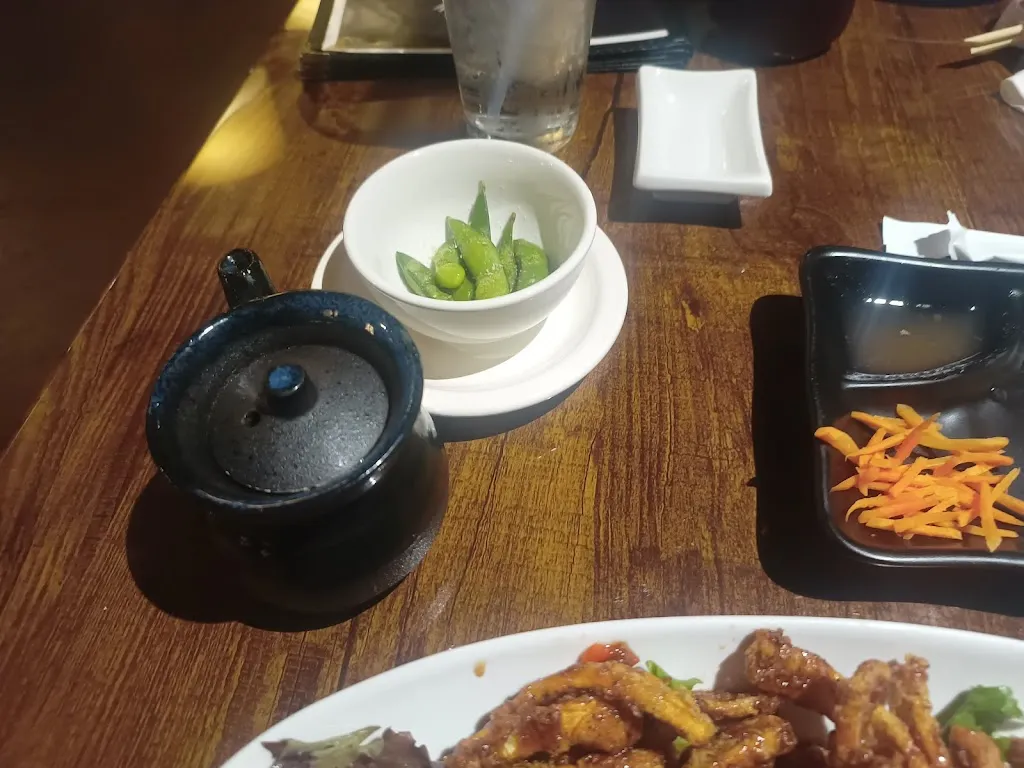 Fabricio Arellano_Sakana Sushi Restaurant_Tampa, FL_review