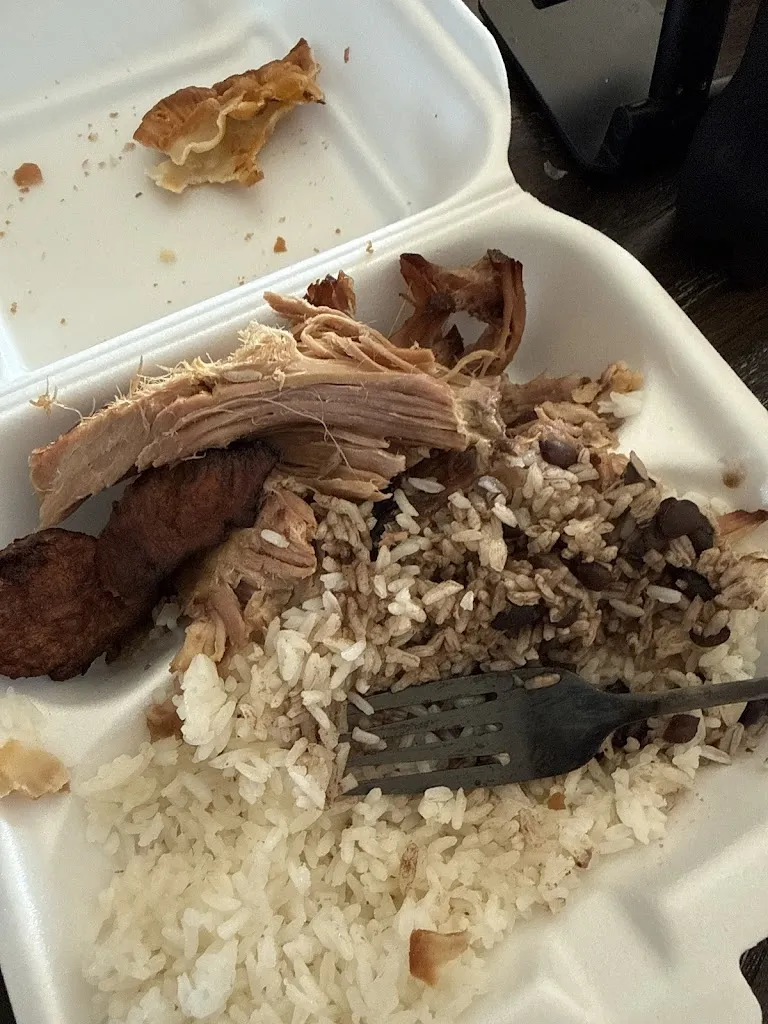 Catherine Koppie_Punta Cana Kitchen_Port Richey, FL_bewertung
