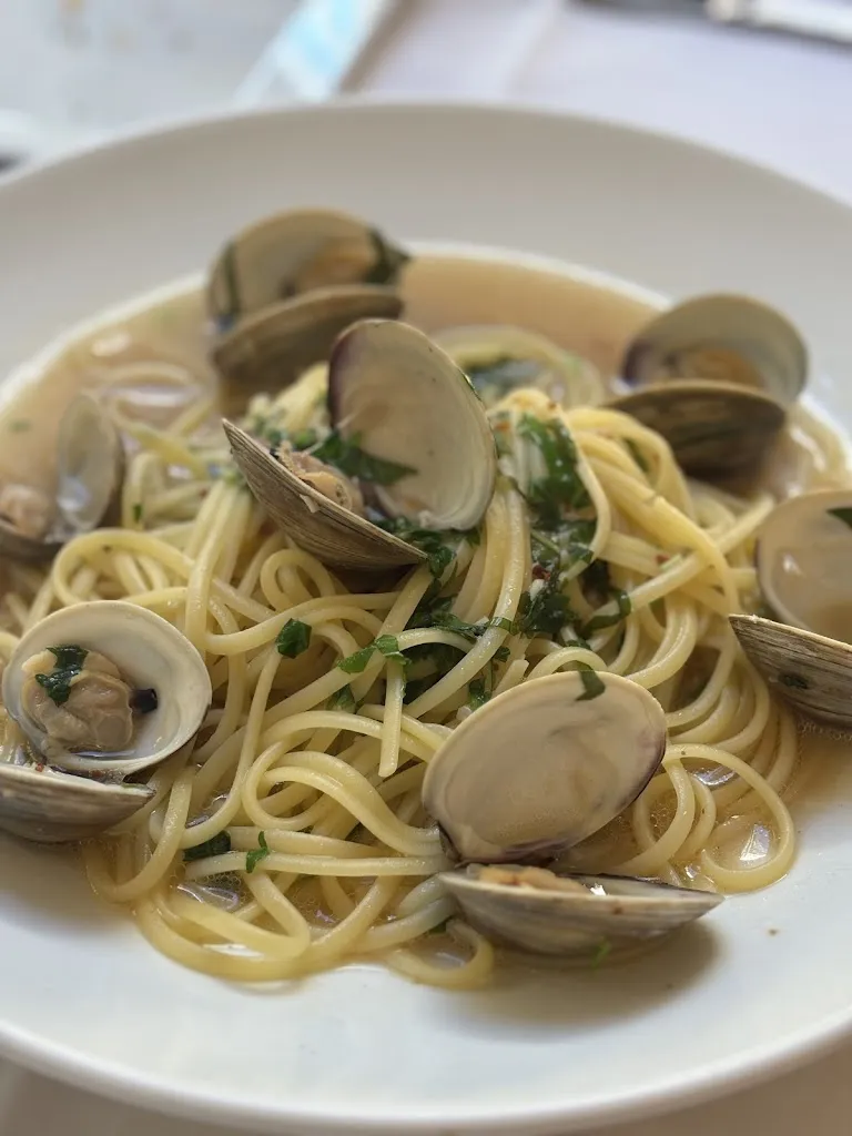 Alyx Swope-Bell_Tiramisu Cucina Romana_Berwyn, PA_review