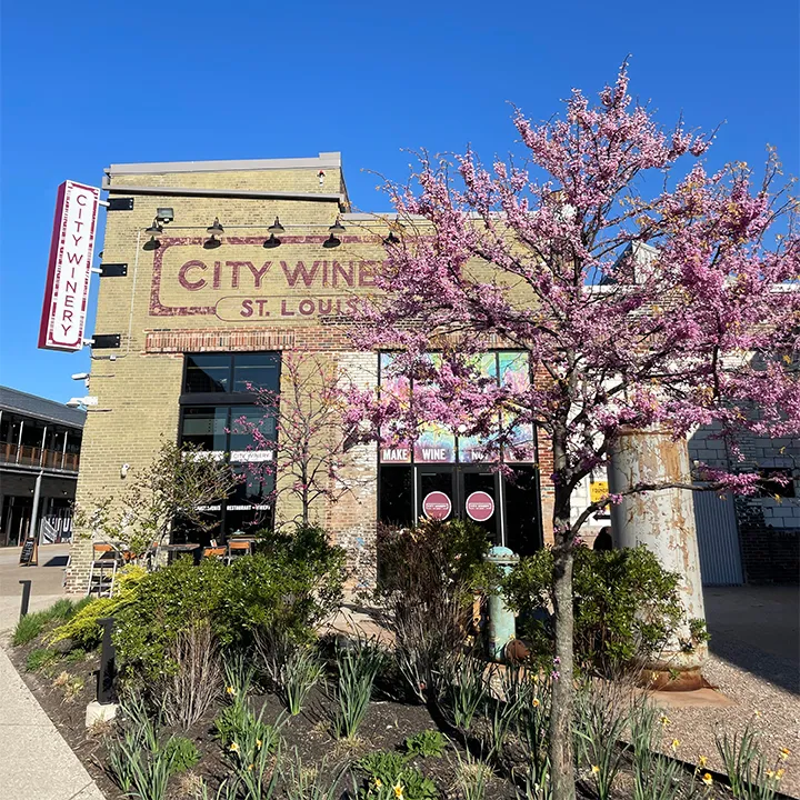 City Winery St. Louis restaurant in St. Louis, MO