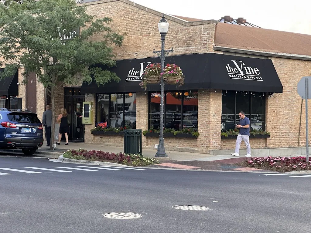Michael_The Vine - Martini & Wine Bar_Grayslake, IL_review