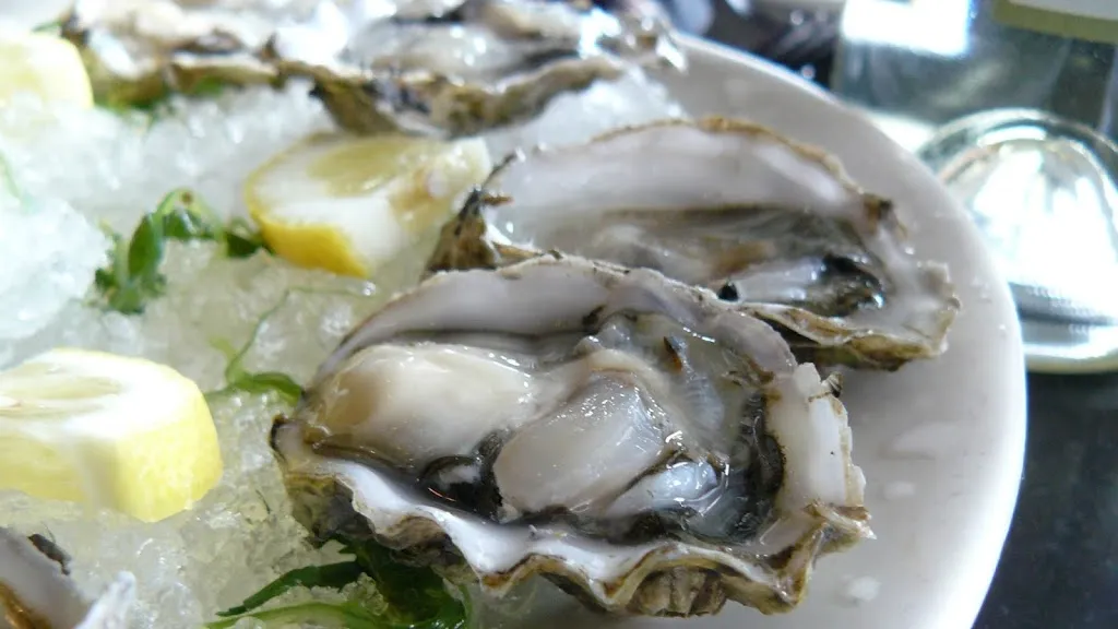 Opus Ocean Grille_Clear Lake Shores, TX_slider_image_3