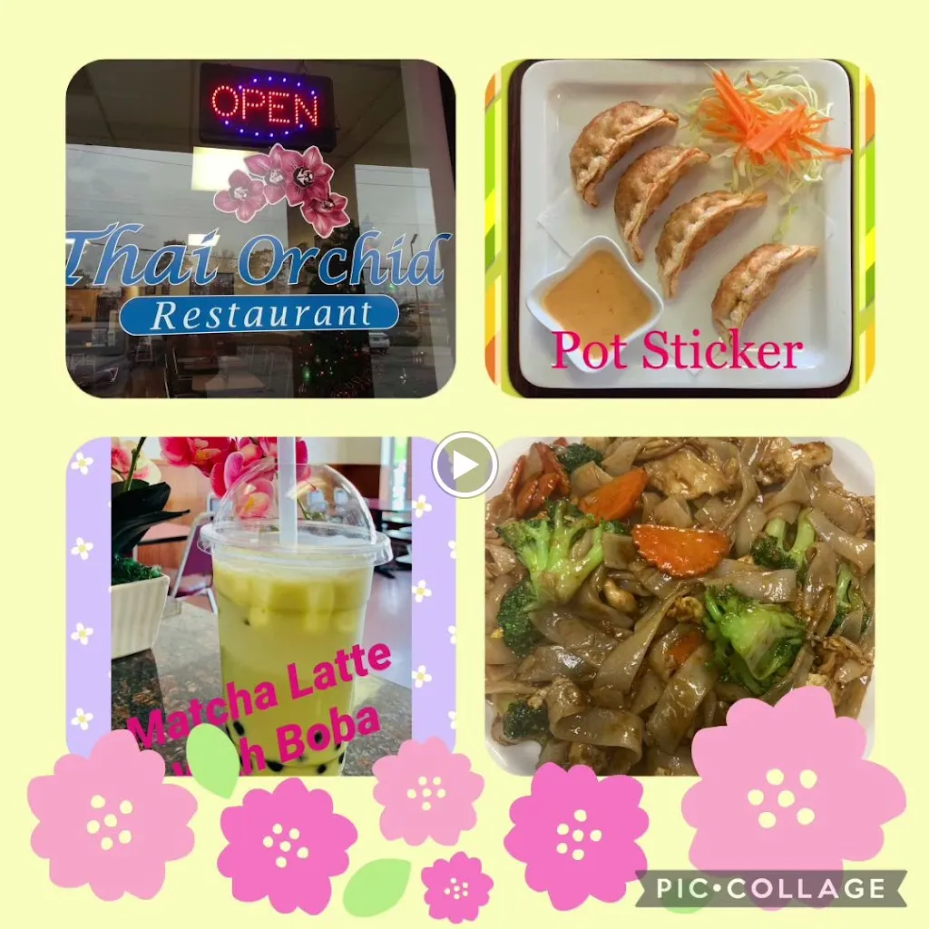 Thai Orchid Restaurant_St. Louis, MO_slider_image_2