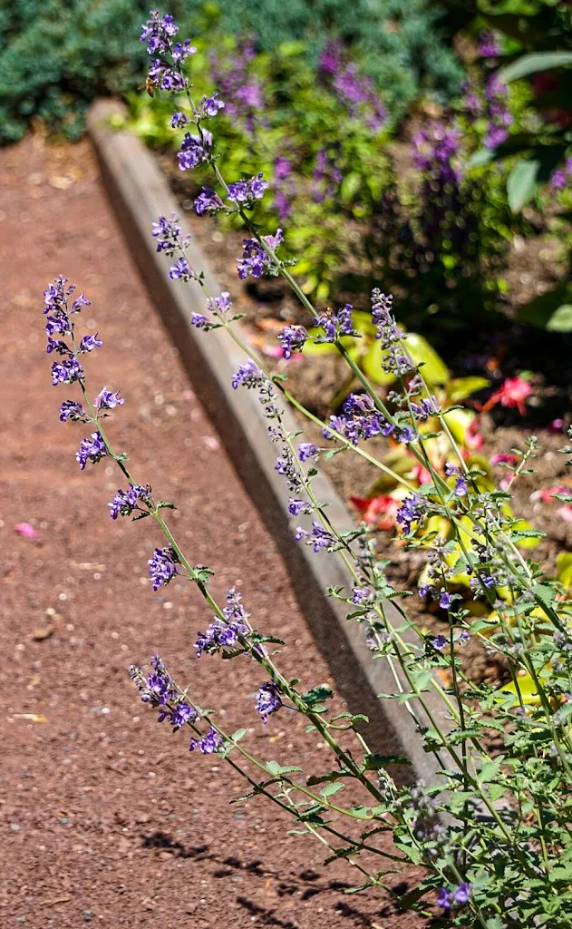 Deborah Zitomer_Prospect House & Garden_Princeton, NJ_review