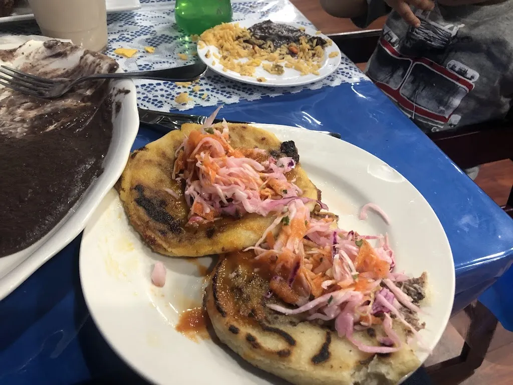 Karina Pleitez_Pueblito Latino 2_Blauvelt, NY_recensione