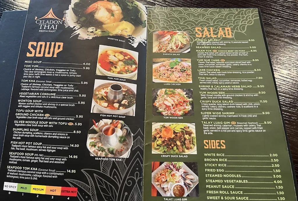 Menu_Celadon Thai Restaurant_Latham, NY_image_old_3