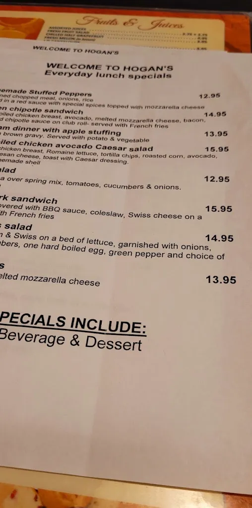 Menu_Hogan's Diner_Orangeburg, NY_image_old_2