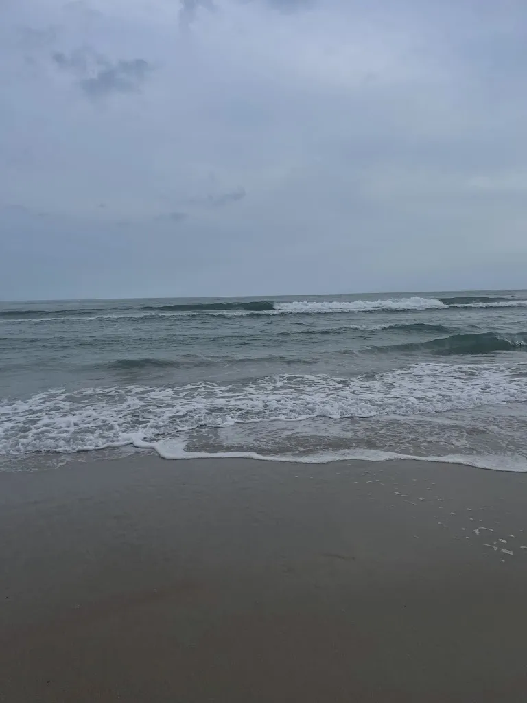 Florin Nicolae_Molly's Beachside Bar & Grill_Atlantic Beach, NC_review