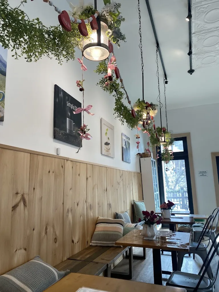 Rebecca Z_The Steeping Leaf_Morgan, PA_review