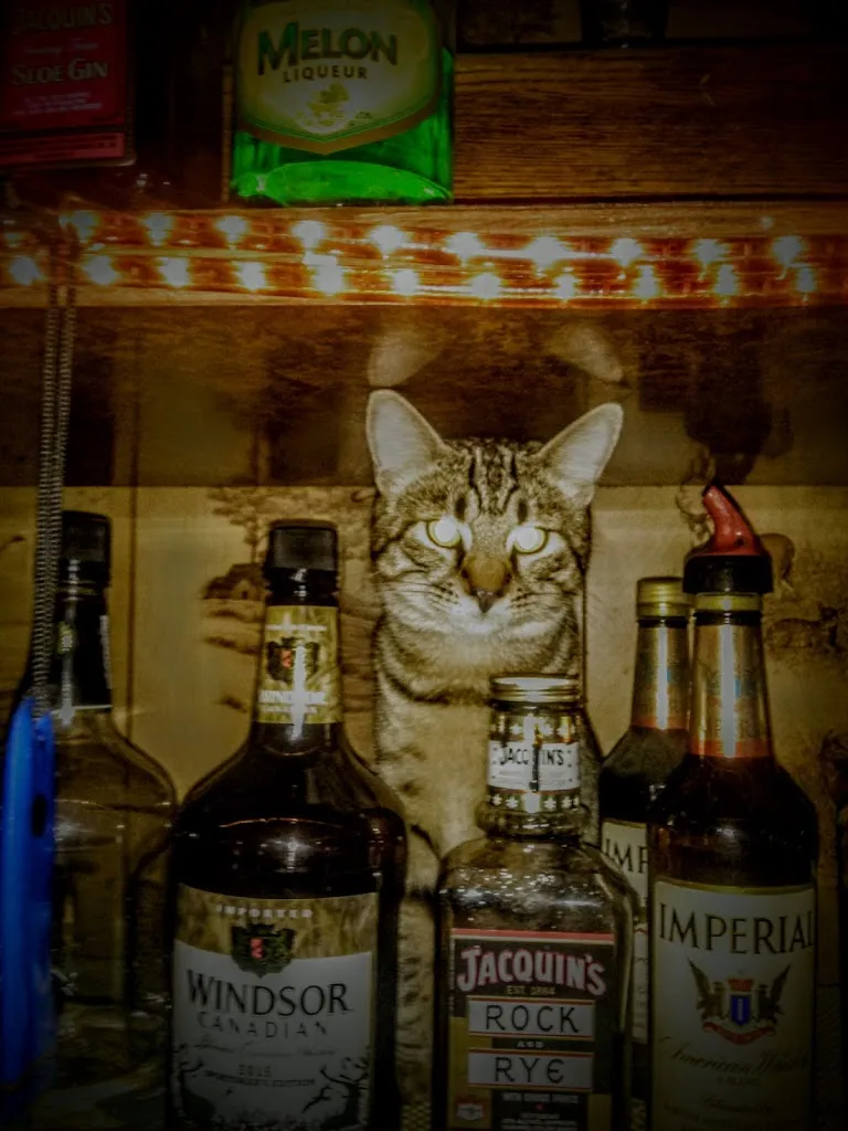 Hagerman's Tavern_Houston, PA_slider_imagen_2
